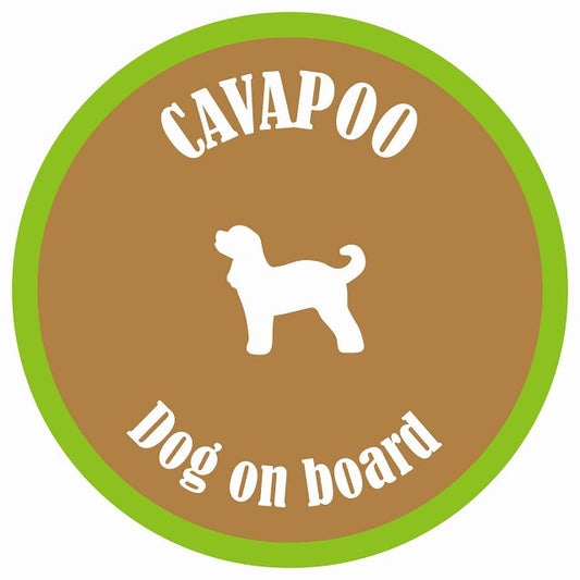 カラフル Dog on board 丸型 キャバプー ブラウン&グリーン 直径13cm シール カーステッカー
