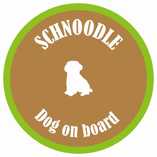 カラフル Dog on board 丸型 シュナプー ブラウン&グリーン 直径13cm シール カーステッカー
