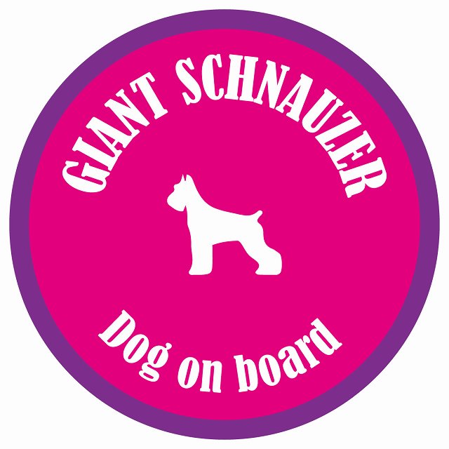 カラフル Dog on board 丸型 ジャイアントシュナウザー ピンク&パープル 直径13cm シール カーステッカー