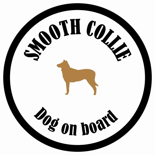 カラフル Dog on board 丸型 スムースコリー ホワイト&ブラック 直径13cm シール カーステッカー