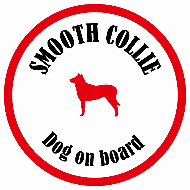 カラフル Dog on board 丸型 スムースコリー ホワイト&レッド 直径13cm シール カーステッカー