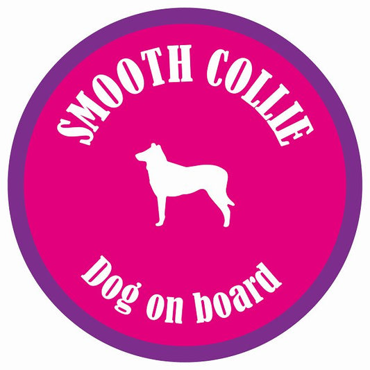 カラフル Dog on board 丸型 スムースコリー ピンク&パープル 直径13cm シール カーステッカー