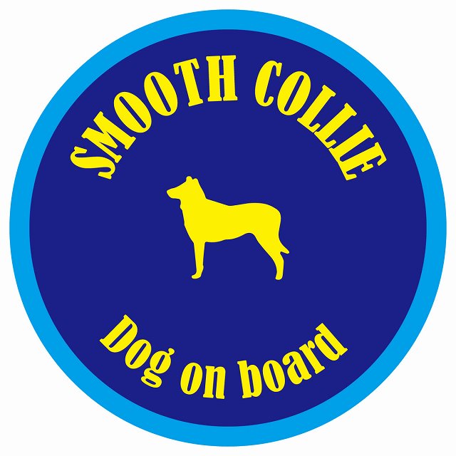 カラフル Dog on board 丸型 スムースコリー ネイビー&ブルー 直径13cm シール カーステッカー