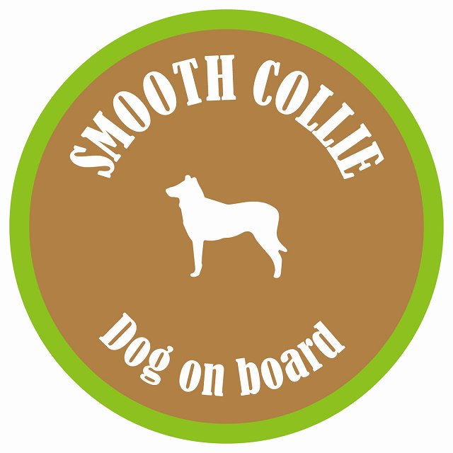 カラフル Dog on board 丸型 スムースコリー ブラウン&グリーン 直径13cm シール カーステッカー