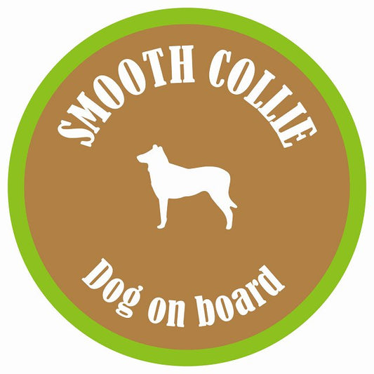 カラフル Dog on board 丸型 スムースコリー ブラウン&グリーン 直径13cm シール カーステッカー
