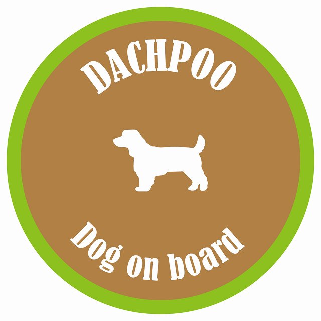カラフル Dog on board 丸型 ダップー ブラウン&グリーン 直径13cm シール カーステッカー