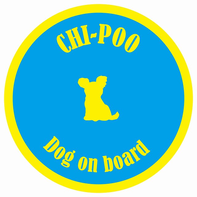 カラフル Dog on board 丸型 チワプー ブルー&イエロー 直径13cm シール カーステッカー