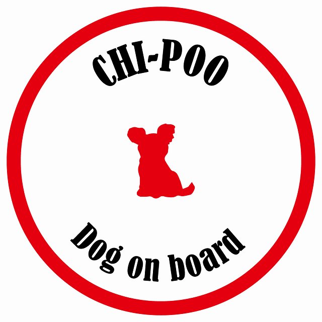 カラフル Dog on board 丸型 チワプー ホワイト&レッド 直径13cm シール カーステッカー