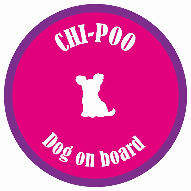 カラフル Dog on board 丸型 チワプー ピンク&パープル 直径13cm シール カーステッカー