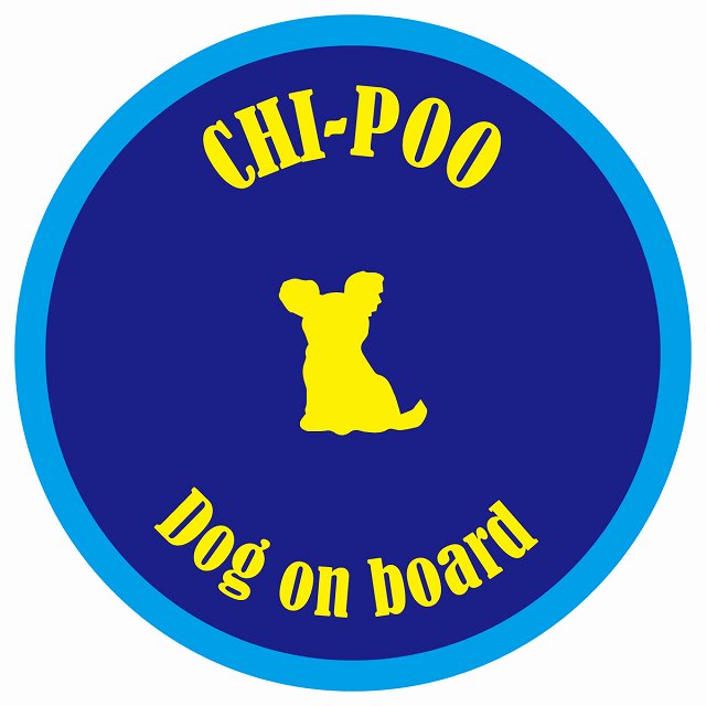 カラフル Dog on board 丸型 チワプー ネイビー&ブルー 直径13cm シール カーステッカー