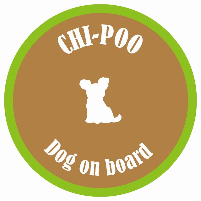 カラフル Dog on board 丸型 チワプー ブラウン&グリーン 直径13cm シール カーステッカー
