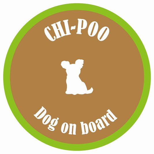カラフル Dog on board 丸型 チワプー ブラウン&グリーン 直径13cm シール カーステッカー