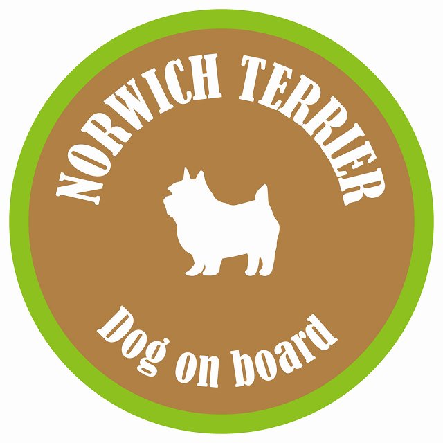カラフル Dog on board 丸型 ノーリッチテリア ブラウン&グリーン 直径13cm シール カーステッカー