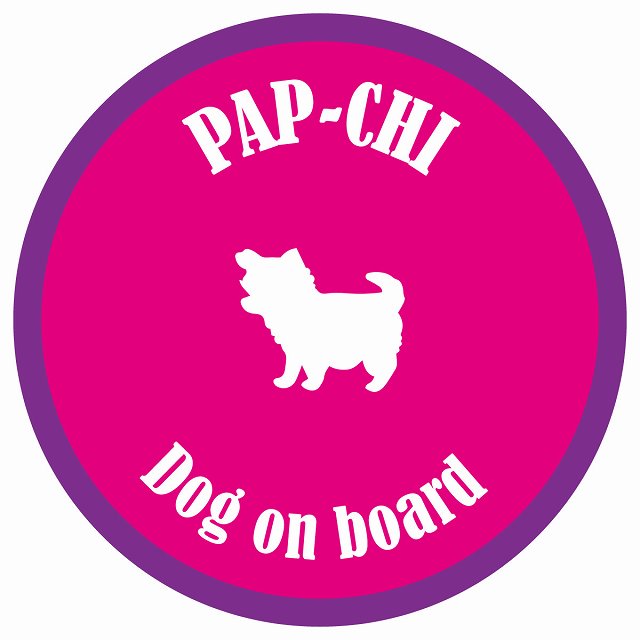 カラフル Dog on board 丸型 パピチワ ピンク&パープル 直径13cm シール カーステッカー