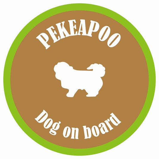 カラフル Dog on board 丸型 ペキプー ブラウン&グリーン 直径13cm シール カーステッカー