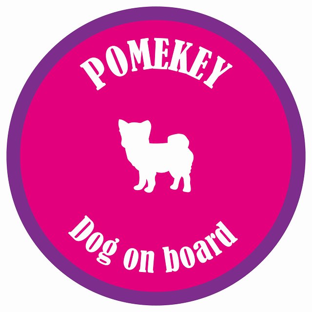 カラフル Dog on board 丸型 ポメキー ピンク&パープル 直径13cm シール カーステッカー
