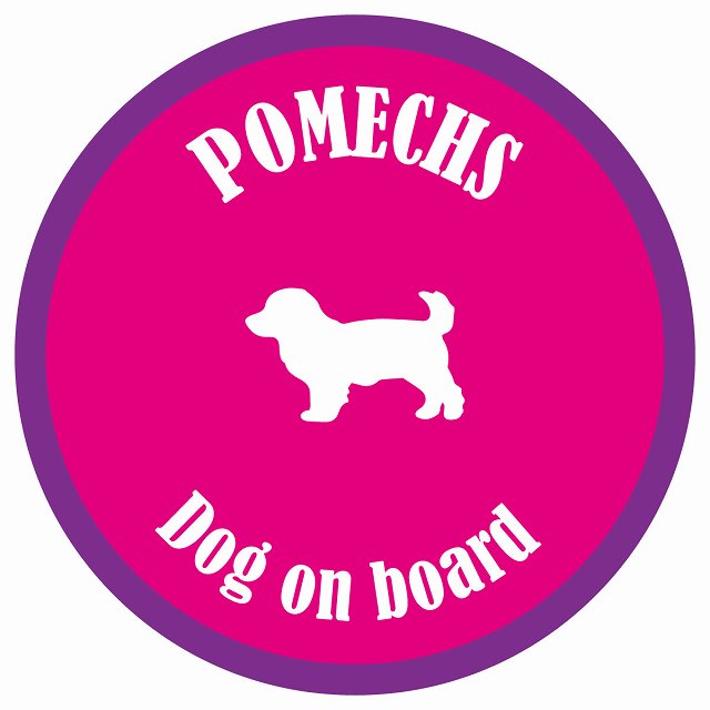 カラフル Dog on board 丸型 ポメックス ピンク&パープル 直径13cm シール カーステッカー