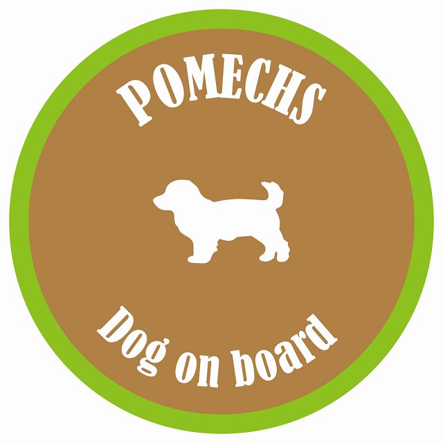 カラフル Dog on board 丸型 ポメックス ブラウン&グリーン 直径13cm シール カーステッカー