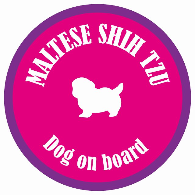 カラフル Dog on board 丸型 マルシーズー ピンク&パープル 直径13cm シール カーステッカー
