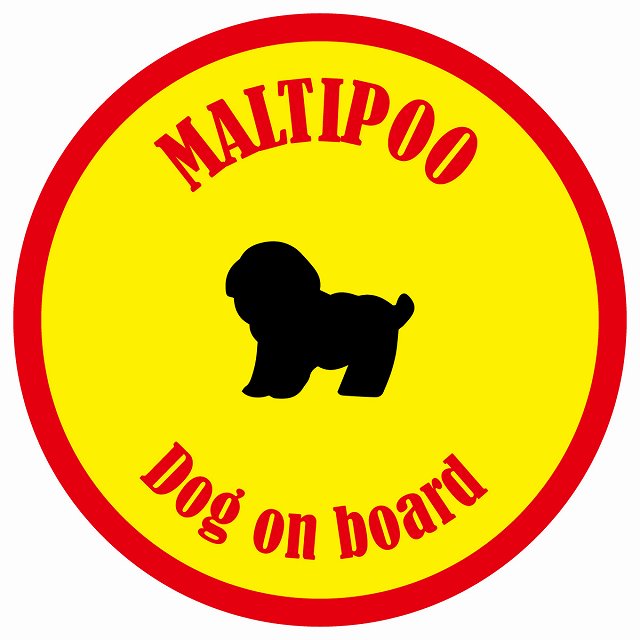 カラフル Dog on board 丸型 マルプー イエロー&レッド 直径13cm シール カーステッカー