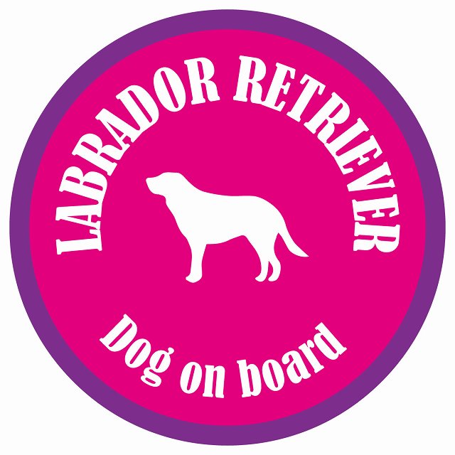 カラフル Dog on board 丸型 ラブラドルレトリバー ピンク&パープル 直径13cm シール カーステッカー