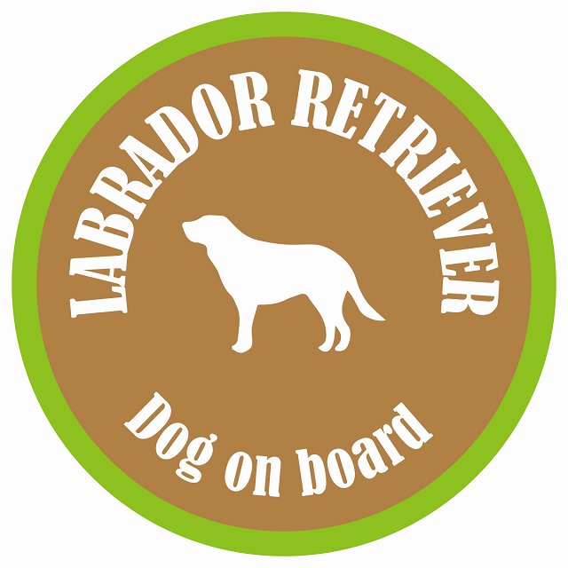 カラフル Dog on board 丸型 ラブラドルレトリバー ブラウン&グリーン 直径13cm シール カーステッカー
