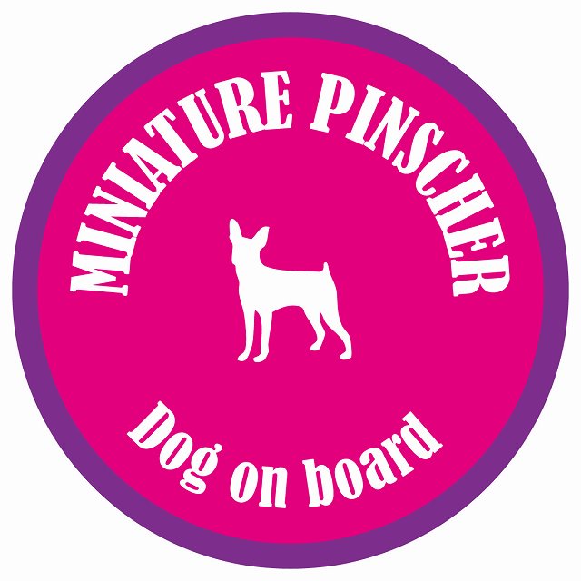 カラフル Dog on board 丸型 ミニチュアピンシャー ピンク&パープル 直径13cm