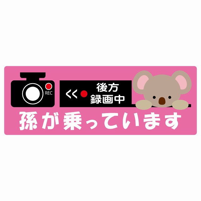 孫が乗っています 後方録画中 こあら ピンク ステッカー 14x5cm 長方形