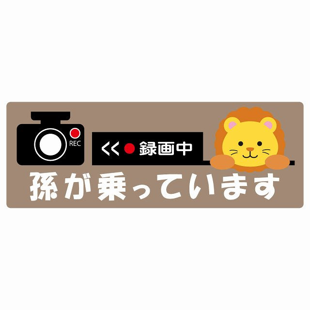 孫が乗っています 録画中 らいおん グレーベージュ ステッカー 14x5cm 長方形