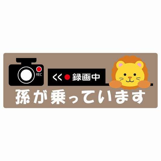 孫が乗っています 録画中 らいおん グレーベージュ ステッカー 14x5cm 長方形