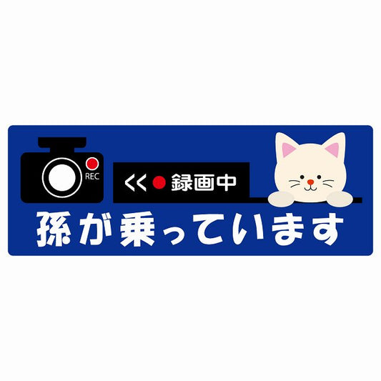 孫が乗っています 録画中 ねこ ネイビー ステッカー 14x5cm 長方形