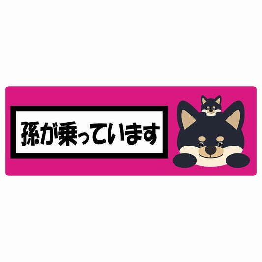 孫が乗っています 祖父母と孫 黒柴 ピンク ステッカー 14x5cm 長方形