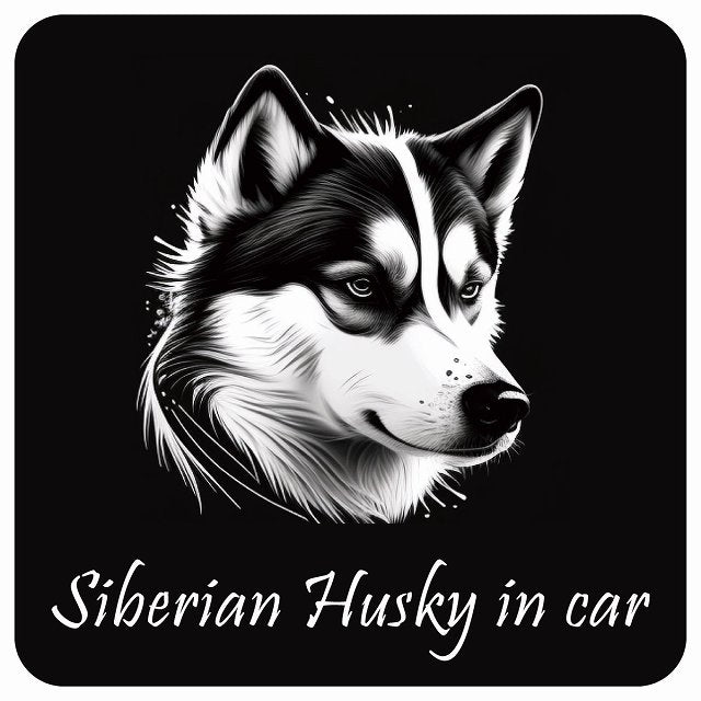 イラスト付 Dog in Car シベリアンハスキー B タイプ ステッカー 正方形 13x13cm シール カーステッカー