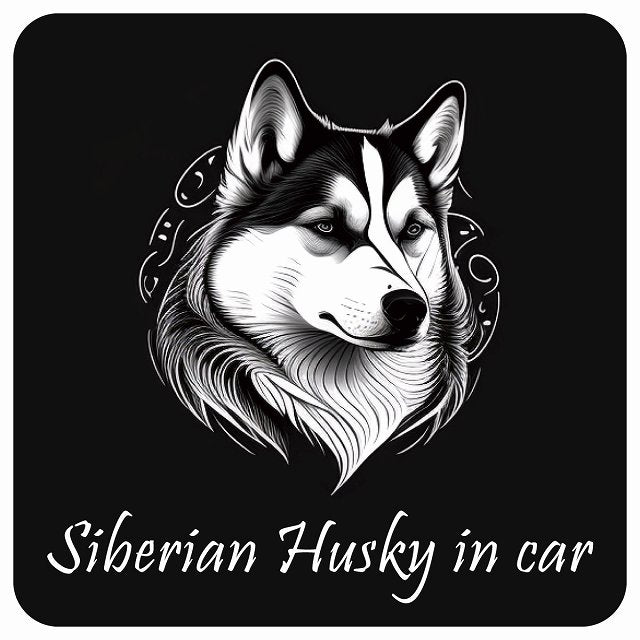 イラスト付 Dog in Car シベリアンハスキー C タイプ ステッカー 正方形 13x13cm シール カーステッカー