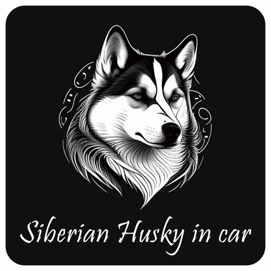 イラスト付 Dog in Car シベリアンハスキー C タイプ ステッカー 正方形 13x13cm シール カーステッカー