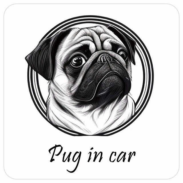 イラスト付 Dog in Car パグ Aタイプ ステッカー 正方形 13x13cm シール カーステッカー