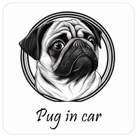 イラスト付 Dog in Car パグ Aタイプ ステッカー 正方形 13x13cm シール カーステッカー