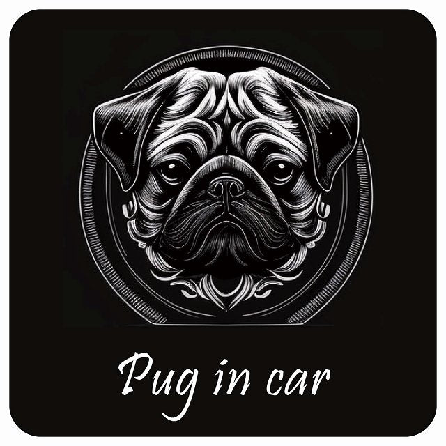 イラスト付 Dog in Car パグ B タイプ ステッカー 正方形 13x13cm シール カーステッカー