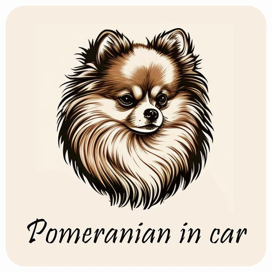 イラスト付 Dog in Car ポメラニアン Aタイプ ステッカー 正方形 13x13cm シール カーステッカー