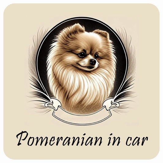 イラスト付 Dog in Car ポメラニアン B タイプ ステッカー 正方形 13x13cm シール カーステッカー