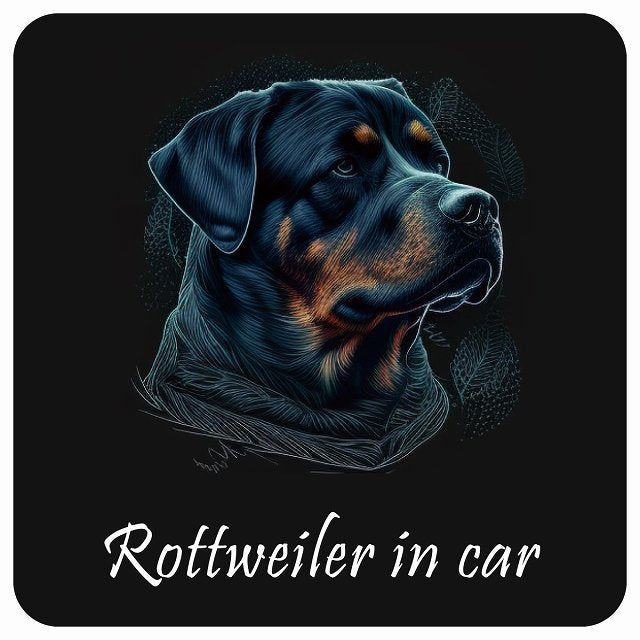 イラスト付 Dog in Car ロットワイラー B タイプ ステッカー 正方形 13x13cm シール カーステッカー