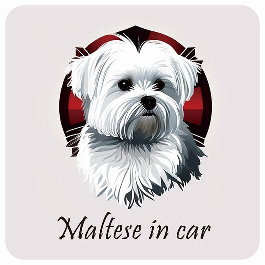 イラスト付 Dog in Car マルチーズ B タイプ ステッカー 正方形 13x13cm シール カーステッカー