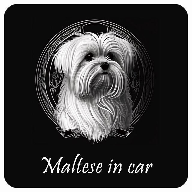 イラスト付 Dog in Car マルチーズ Aタイプ ステッカー 正方形 13x13cm シール カーステッカー