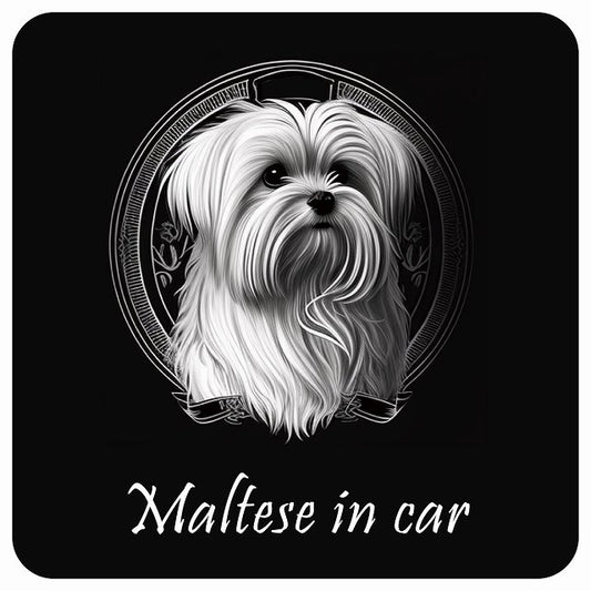 イラスト付 Dog in Car マルチーズ Aタイプ ステッカー 正方形 13x13cm シール カーステッカー