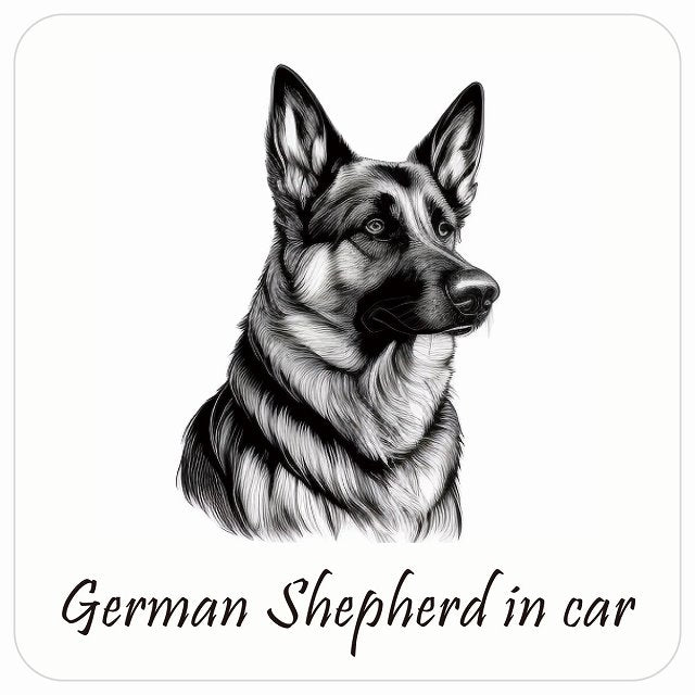 イラスト付 Dog in Car シェパード B タイプ ステッカー 正方形 13x13cm シール カーステッカー