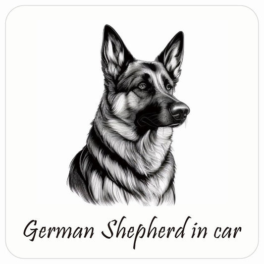 イラスト付 Dog in Car シェパード B タイプ ステッカー 正方形 13x13cm シール カーステッカー