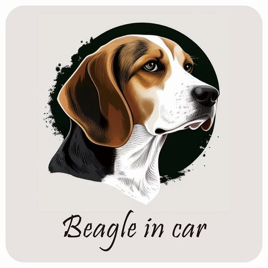 イラスト付 Dog in Car ビーグル Aタイプ ステッカー 正方形 13x13cm シール カーステッカー