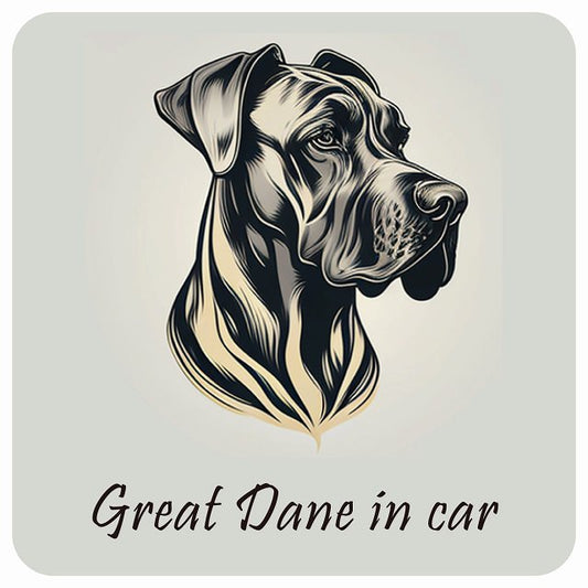 イラスト付 Dog in Car グレートデン Aタイプ ステッカー 正方形 13x13cm シール カーステッカー