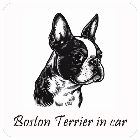 イラスト付 Dog in Car ボストンテリア Aタイプ ステッカー 正方形 13x13cm シール カーステッカー