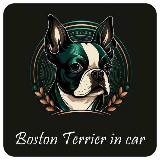 イラスト付 Dog in Car ボストンテリア B タイプ ステッカー 正方形 13x13cm シール カーステッカー